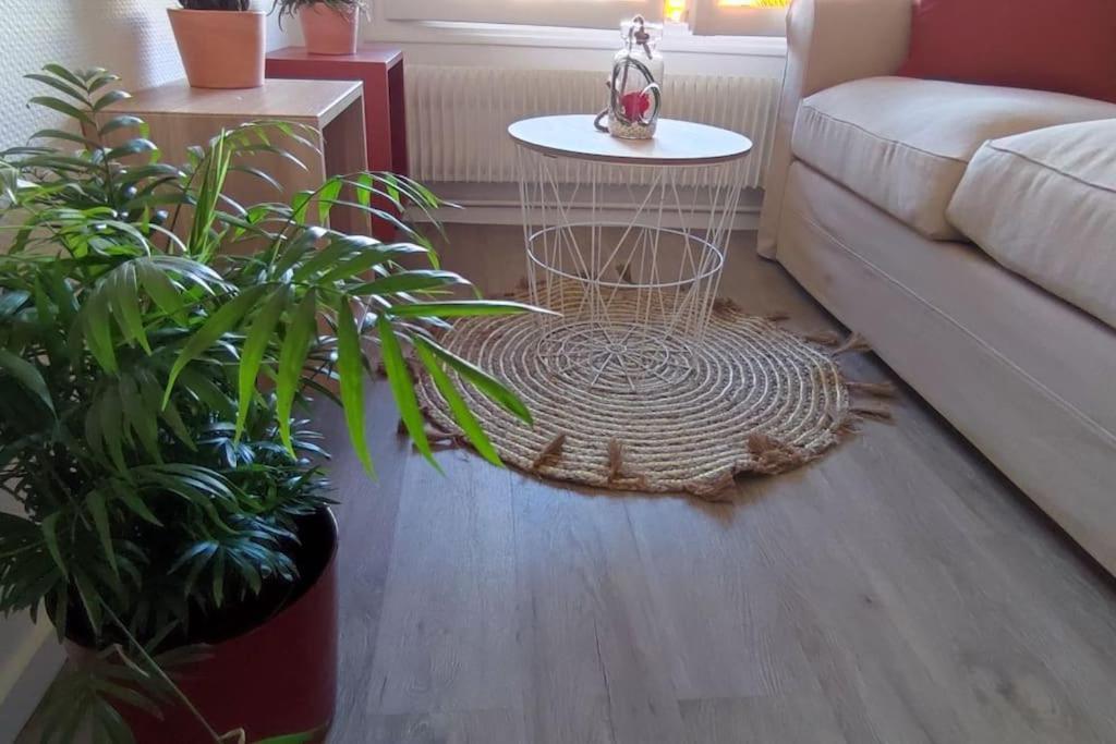 Le Septieme Ciel Clermont-Ferrand Cosy En Ville المظهر الخارجي الصورة